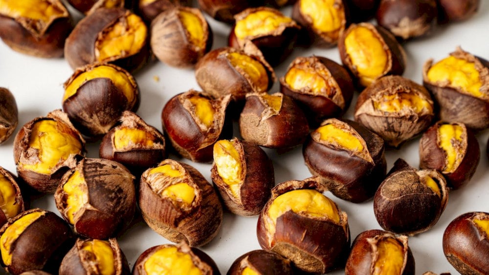 The taste of Sapa chestnuts has a fragrant smell when grilled or roasted, a rich, fatty taste, and a little sweetness at the end 